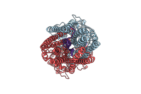 9OCJ image