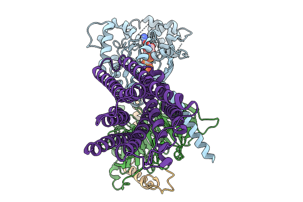 9ODG image