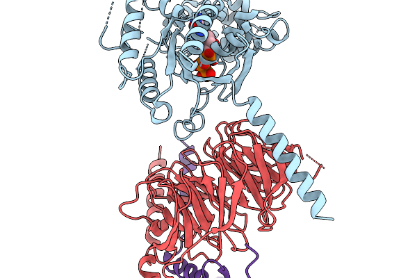 9ODH image