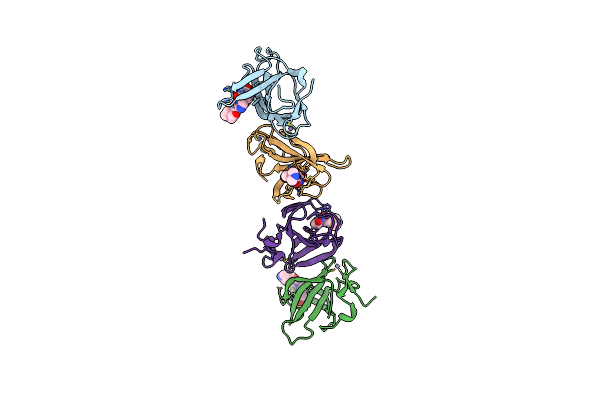 9ODS image