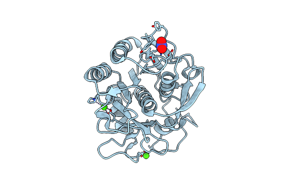 9ODV image