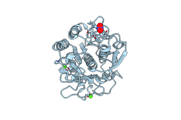9ODW image
