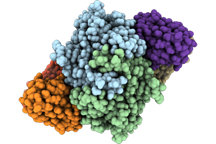 9OEG image