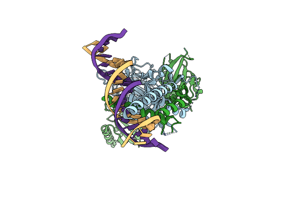 9OF0 image