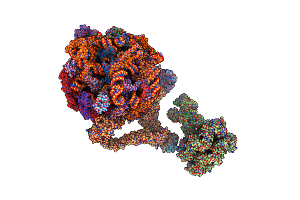 9OFV image