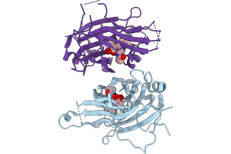 9OGI image