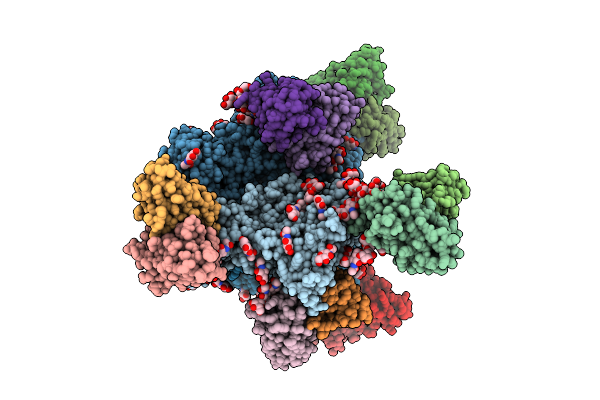 9OGL image