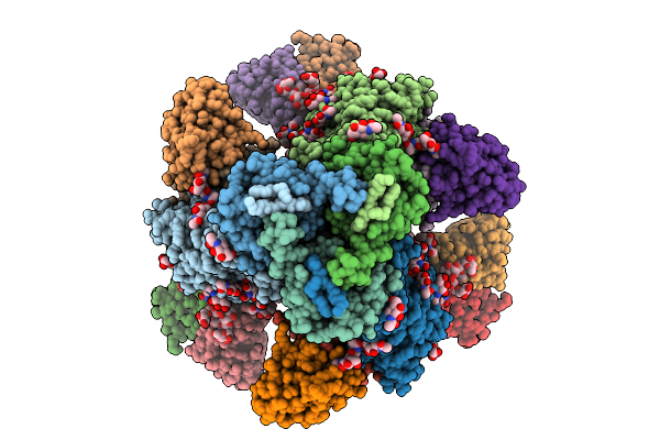9OGT image