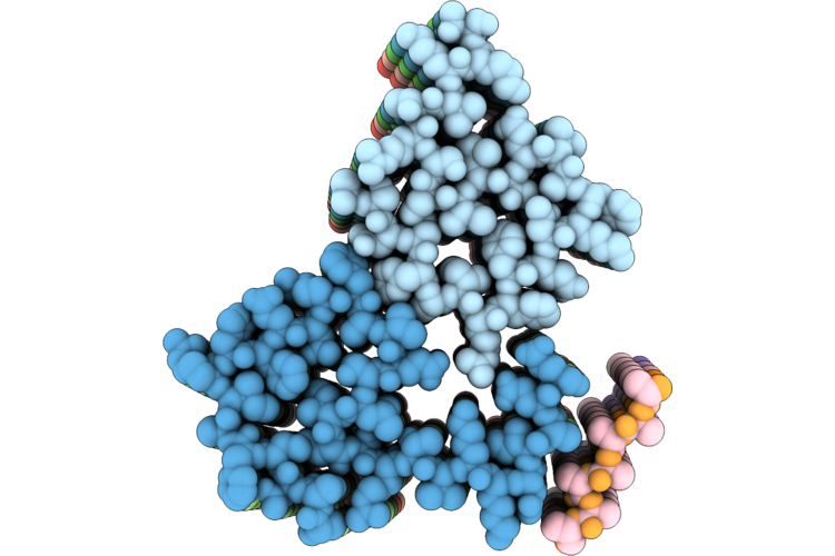 9OIG image