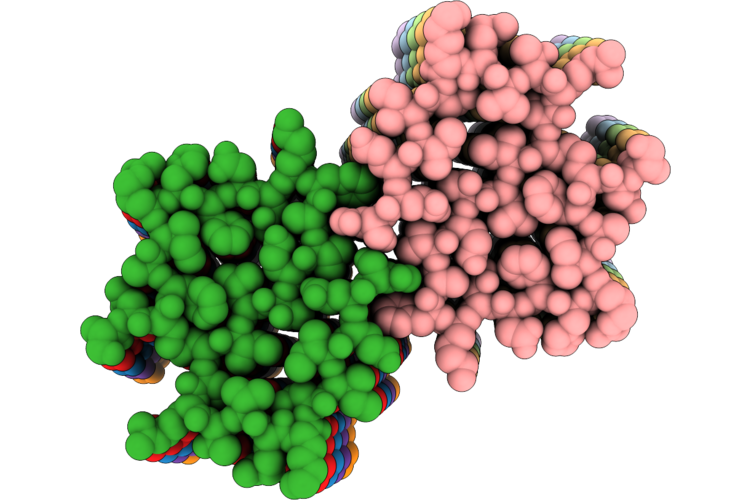 9OIP image