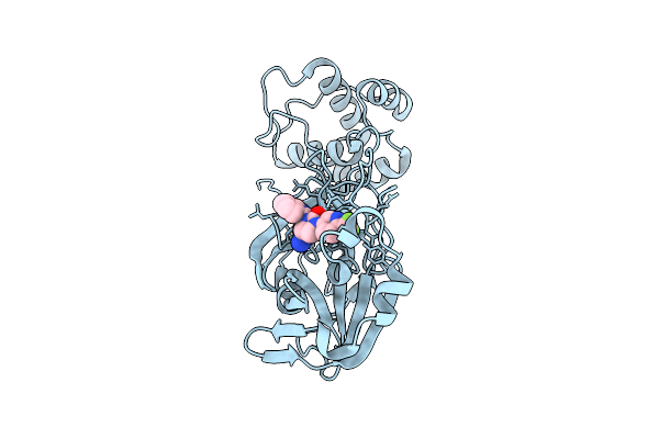 9OIX image