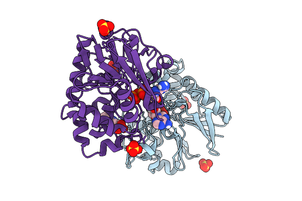9OJQ image