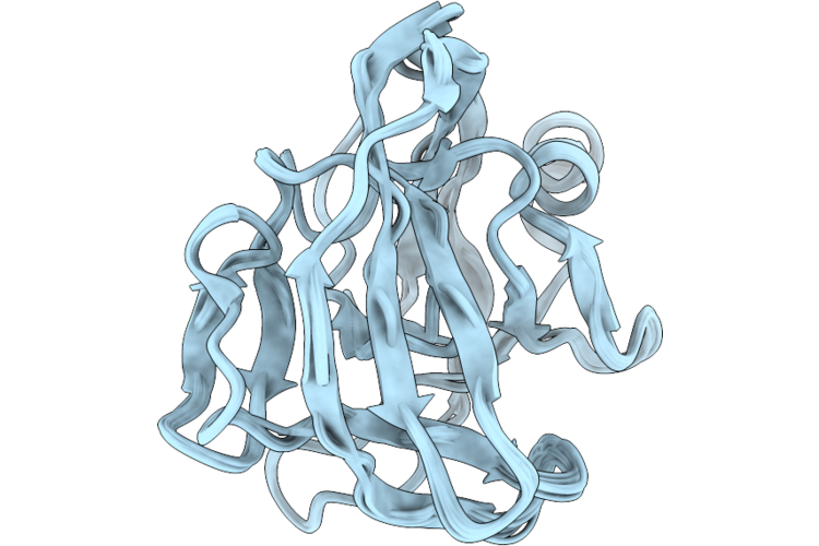 9OMB image