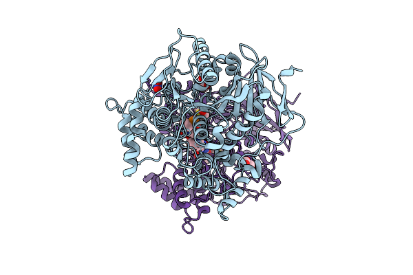 9OMT image