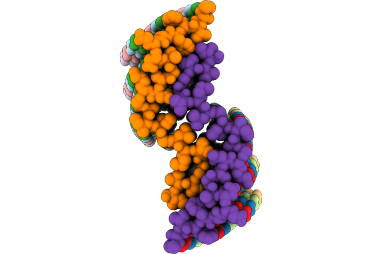 9ONC image