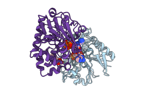 9OPG image