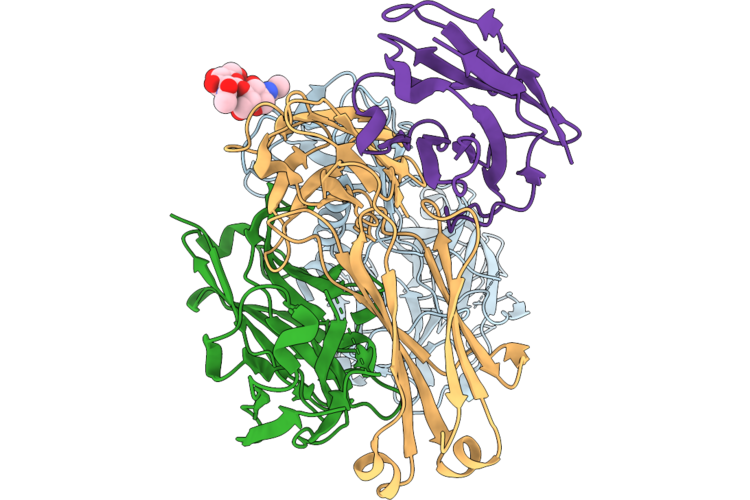 9OPR image