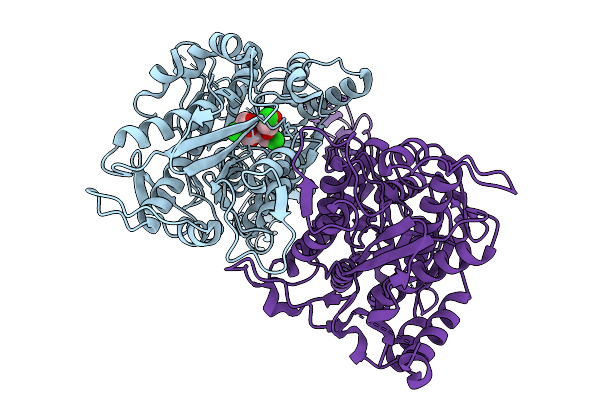 9OPZ image