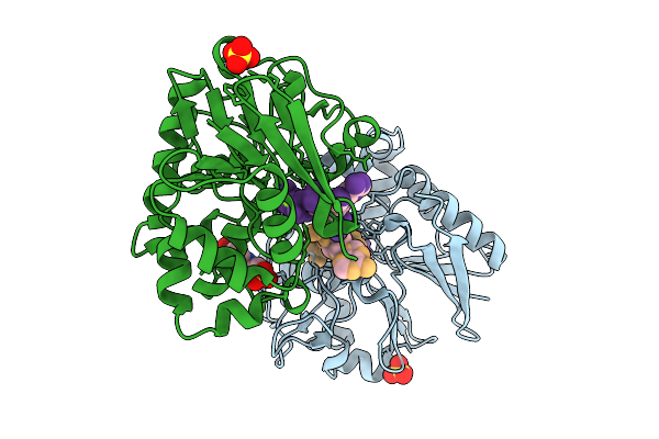 9OQB image