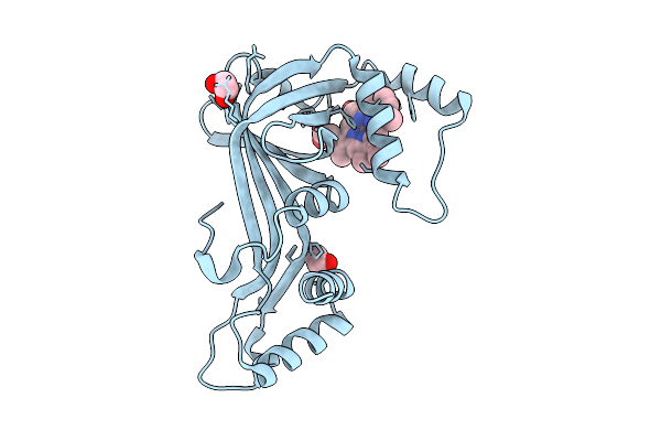 9OQS image
