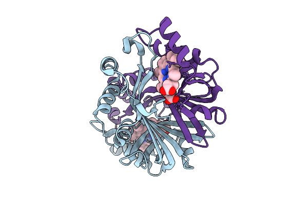 9OQU image