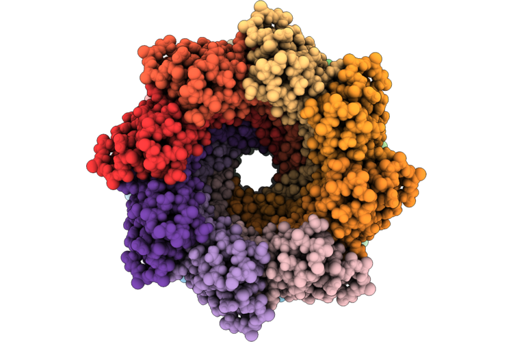 9ORP image