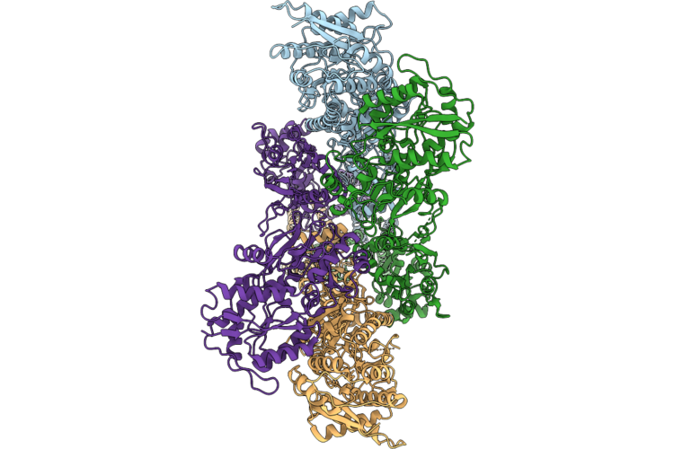 9OSI image