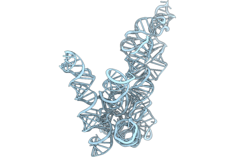 9OVB image