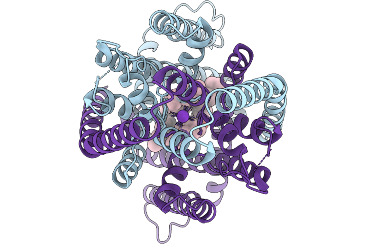 9OVD image