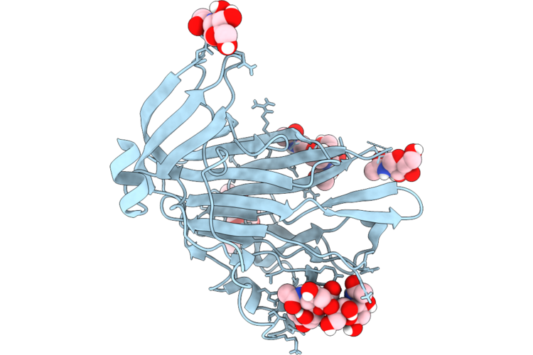 9OVK image