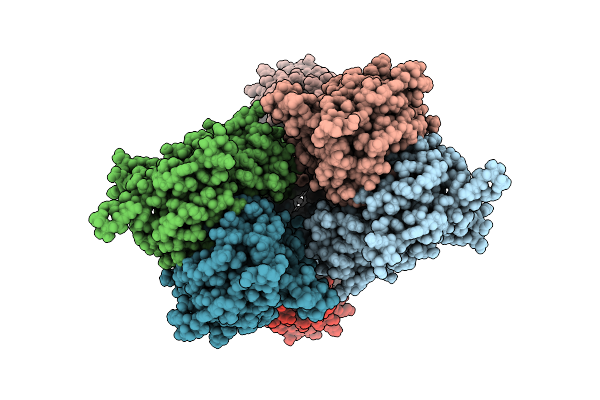 9OVV image