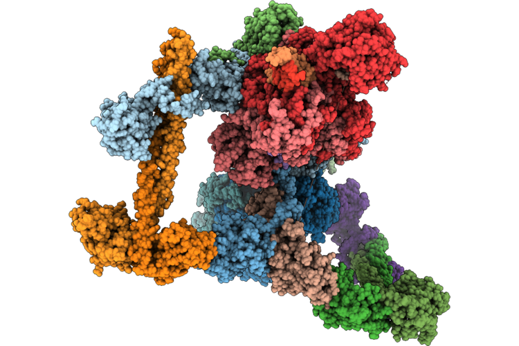 9OX8 image