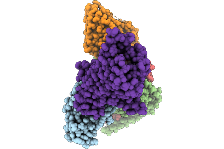 9OXB image