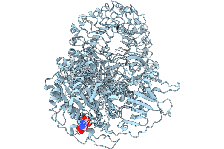 9OXI image