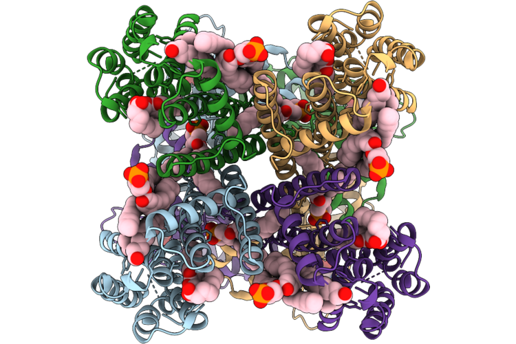 9OXL image