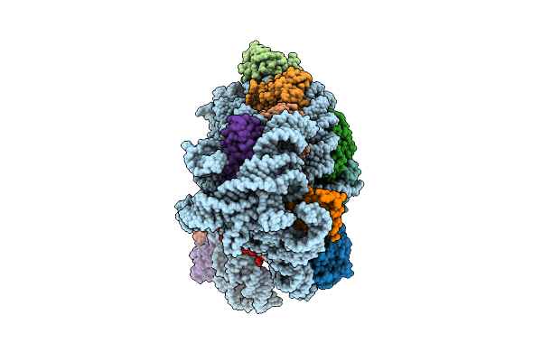 9OYV image