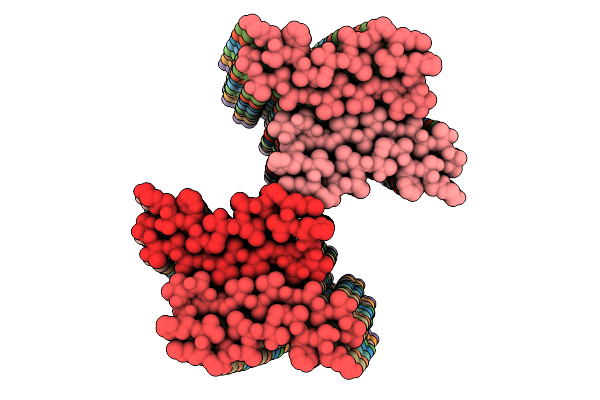 9OYW image
