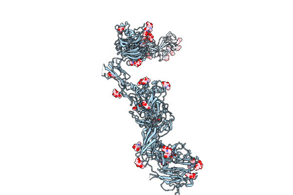 9OZI image