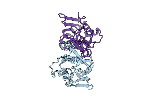 9OZV image