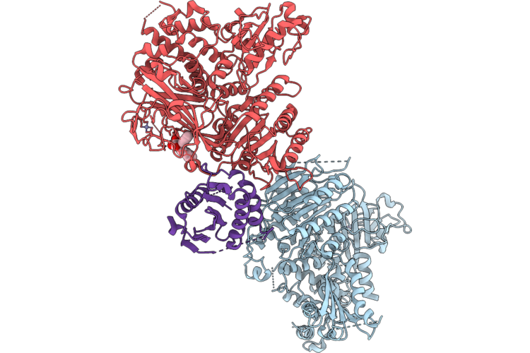 9P09 image