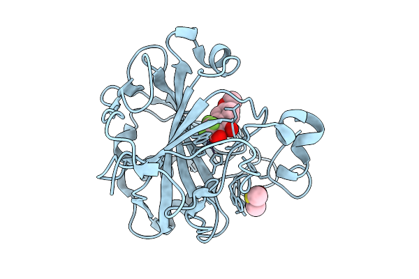 9P0W image