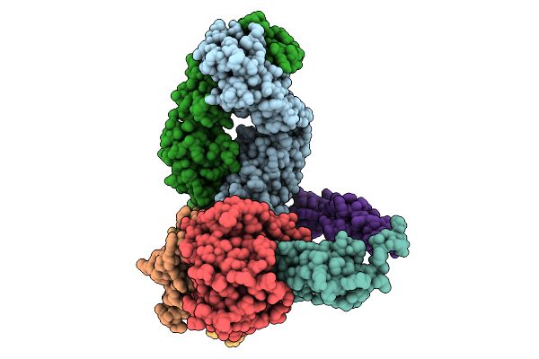 9P0X image