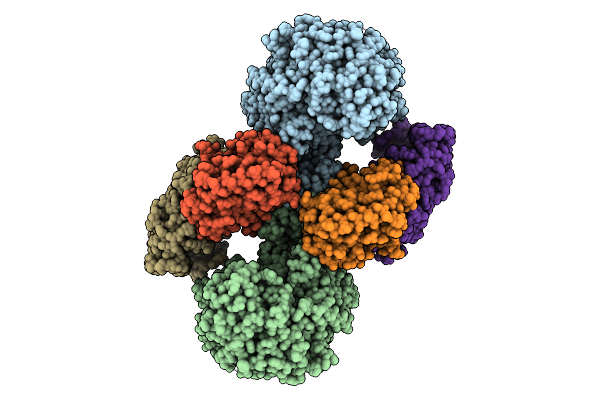 9P11 image
