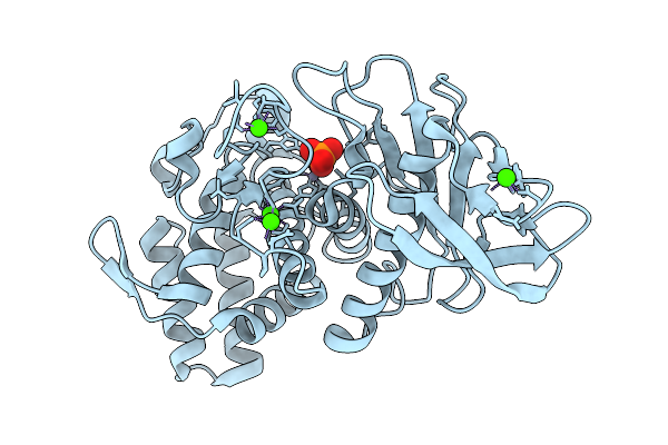 9P16 image