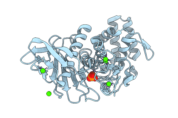 9P17 image