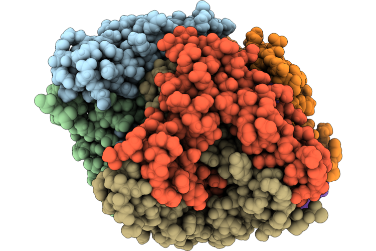 9P19 image
