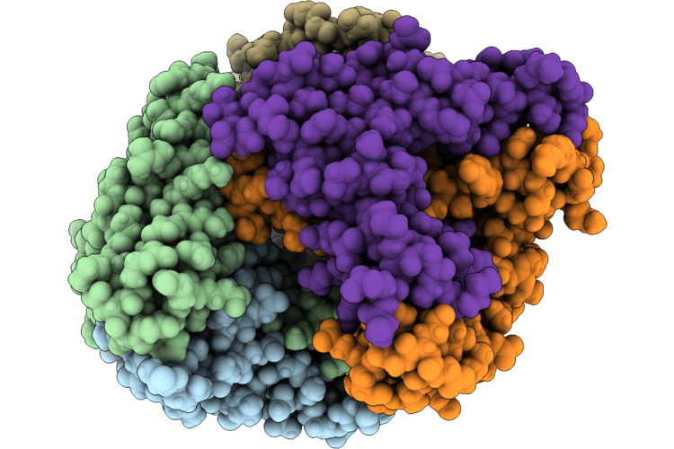 9P1A image