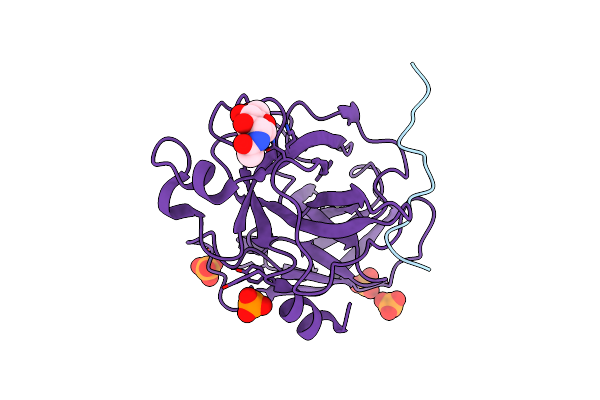 9P1C image
