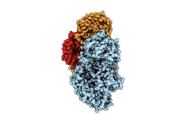 9P1D image