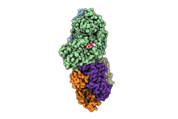 9P1M image